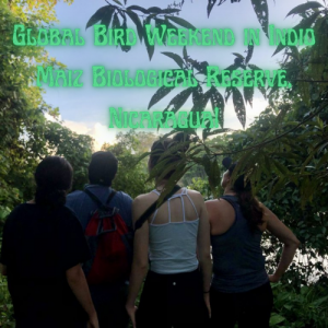 Global Bird Weekend in Indio Maiz Biological Reserve