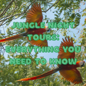 Jungle Night Tours Nicaragua nature