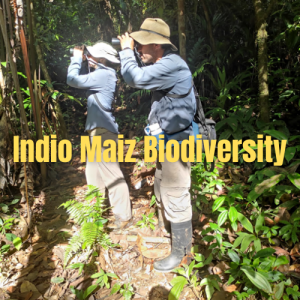 Indio Maiz tourism nature
