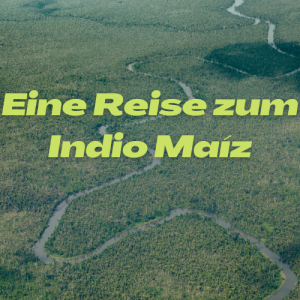 Indio Maiz landscape