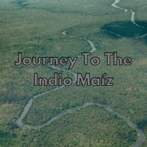 an aerial view of the Río San Juan in the Indio Maíz Biological Reserve in Nicaragua which is the path to journey to the Indio Maíz